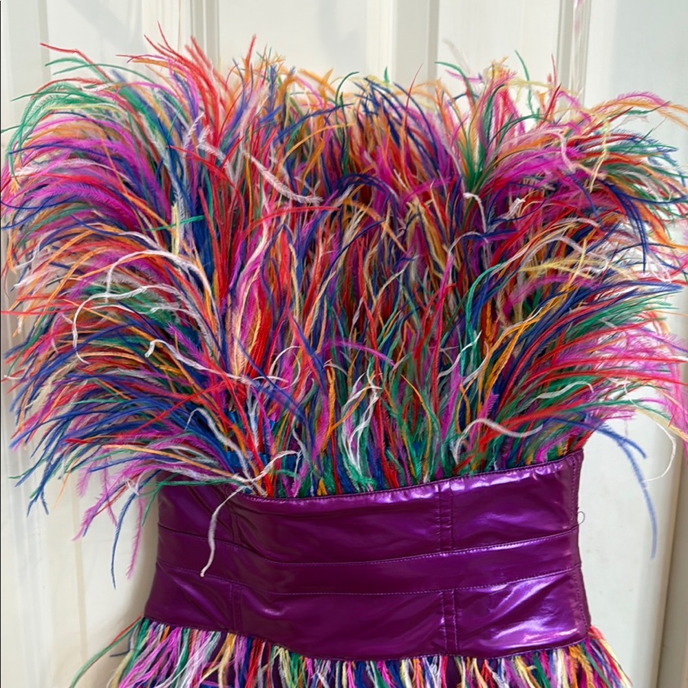 Colorful Feathered Dress with Purple Band - Picture 2 of 6